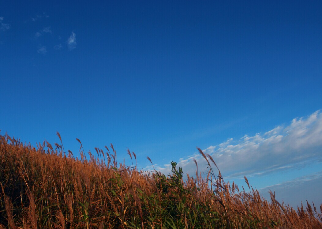 QQ图片20141006214320.jpg